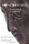 Goldstein, Joseph Goldstein - Mindfulness