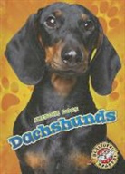 Mari Schuh, Mari C Schuh, Mari C. Schuh - Dachshunds