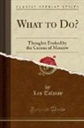 Count Lyof N. Tolstoi, Count Lyof N. Tolstoï, Leo Tolstoy - What to Do?
