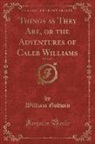 William Godwin - Things as They Are, or the Adventures of Caleb Williams, Vol. 2 of 3 (Classic Reprint)