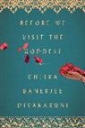 Chitra Banerjee Divakaruni - Before We Visit the Goddess