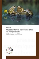 Norin Chai, Chai-n - Mycobacteries atypiques chez les