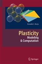 Ronaldo I Borja, Ronaldo I. Borja - Plasticity