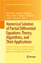 Svetoza D Margenov, Svetozar D Margenov, Peter D Minev et al, Oleg P. Iliev, Svetozar D. Margenov, Peter D Minev... - Numerical Solution of Partial Differential Equations: Theory, Algorithms, and Their Applications