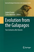 Montúfar, Montúfar, Carlos Montúfar, Gabrie Trueba, Gabriel Trueba - Evolution from the Galapagos