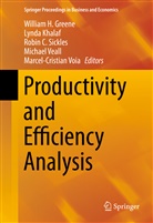 William H. Greene, Lynd Khalaf, Lynda Khalaf, Robin Sickles, Robin C. Sickles, Robin Sickles et al... - Productivity and Efficiency Analysis