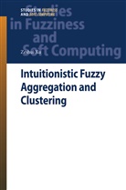 Zeshui Xu - Intuitionistic Fuzzy Aggregation and Clustering