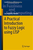Luis Argüelles Mendez, Luis Argüelles Méndez - A Practical Introduction to Fuzzy Logic using LISP