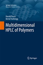 Haral Pasch, Harald Pasch, Bernd Trathnigg - Multidimensional HPLC of Polymers