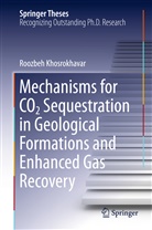 Roozbeh Khosrokhavar - Mechanisms for CO2 Sequestration in Geological Formations and Enhanced Gas Recovery