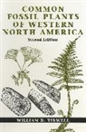 Wd Tidwell, William D Tidwell, William D. Tidwell, William D. (William D. Tidwell) Tidwell - Common Fossil Plants of Western North America, Second Edition
