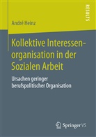 André Heinz - Kollektive Interessenorganisation in der Sozialen Arbeit