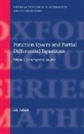 Ali Taheri, Ali (Reader in Mathematics Taheri, Taheri Ali - Function Spaces and Partial Differential Equations