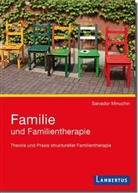 Hermann Hagedorn, Salvador Minuchin, Steph Vyce, Stephanie Vyce - Familie und Familientherapie