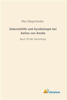 Ma Wegscheider, Max Wegscheider - Geburtshilfe und Gynäkologie bei Aetios von Amida