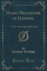 Anthony Trollope - Harry Heathcote of Gangoil