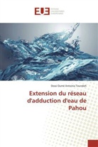 Dossi Oumé Antoinia Toundoh, Toundoh-d - Extension du reseau d adduction d