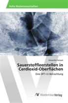 Alexander Hampel - Sauerstoffleerstellen in Cerdioxid-Oberflächen
