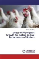 Garima Choudhary - Effect of Phytogenic Growth Promoters on Live Performance of Broilers