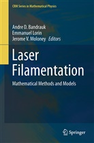 Andre D. Bandrauk, André D. Bandrauk, Emmanue Lorin, Emmanuel Lorin, Jerome V. Moloney, Jerome V Moloney - Laser Filamentation