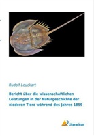 Rudolf Leuckart - Bericht über die wissenschaftlichen Leistungen in der Naturgeschichte der niederen Tiere während des Jahres 1859