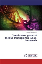 Mostafa Abdoarrahem - Germination genes of Bacillus thuringiensis subsp. israelensis