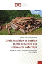 Honorine Claire Soa Ralalarimanga, Ralalarimanga-h - DROIT, TRADITION ET GESTION LOCALE SECURISEE DES RESSOURCES NATURELLES