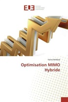 Fatma BelAbed, Belabed-f - Optimisation mimo hybride