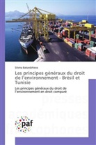 Silvina Bakardzhieva, Bakardzhieva-s - Les principes generaux du droit
