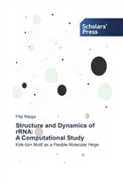 Filip Rázga - Structure and Dynamics of rRNA: A Computational Study