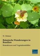 W Detmer, W. Detmer - Botanische Wanderungen in Brasilien