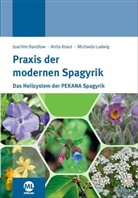 Joachim Bandlow, Anita Kraut, Michaela Ludwig, Anit Kraut, Anita Kraut, Michaela Ludwig (Dr.) - Praxis der modernen Spagyrik