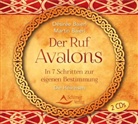 Désiré Baierl, Désirée Baierl, Martin Baierl - Der Ruf Avalons, 2 Audio-CDs (Audiolibro)