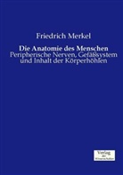 Friedrich Merkel - Die Anatomie des Menschen
