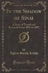 Agnes Smith Lewis - In the Shadow of Sinai