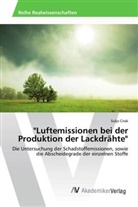 Suljo Cirak - "Luftemissionen bei der Produktion der Lackdrähte"