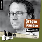 Gregor Sander - Gegenlicht