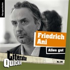 Friedrich Ani - Alles gut