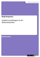 Birgit Bergmann - Schülervorstellungen in der Elektrizitätslehre