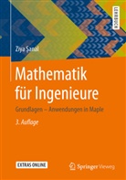 Ziya Sanal - Mathematik für Ingenieure