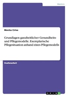 Monika Cirlea - Grundlagen ganzheitlicher Gesundheits- und Pflegemodelle. Exemplarische Pflegesituation anhand eines Pflegemodells