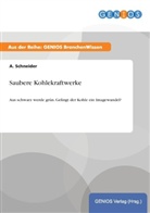 A Schneider, A. Schneider - Saubere Kohlekraftwerke