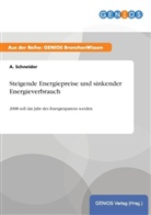A Schneider, A. Schneider - Steigende Energiepreise und sinkender Energieverbrauch