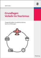 Axel Schulz - Grundlagen Verkehr im Tourismus