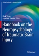 M Sander, M Sander, Angelle M. Sander, Mar Sherer, Mark Sherer - Handbook on the Neuropsychology of Traumatic Brain Injury