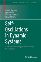 Luis Aguilar, Luis T Aguilar, Luis T. Aguilar, Igo Boiko, Igor Boiko, Leonid Fridman... - Self-Oscillations in Dynamic Systems