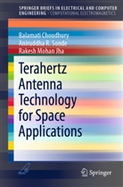 Balamat Choudhury, Balamati Choudhury, Rakesh Jha, Rakesh M. Jha, Rakesh Mohan Jha, Rakesh Mohan Jha... - Terahertz Antenna Technology for Space Applications