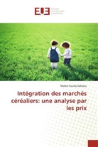 Malam Souley Salissou, Salissou-m - Integration des marches