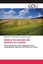 Gabriela Cendoya, Nélid Pose, Nélida Pose, Este Zamuner, Ester Zamuner - Índice de sorción de fósforo en suelos