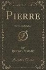Herman Melville - Pierre: Or the Ambiguities (Classic Reprint)